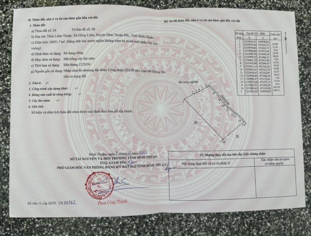 4262682 ảnh đại diện 1