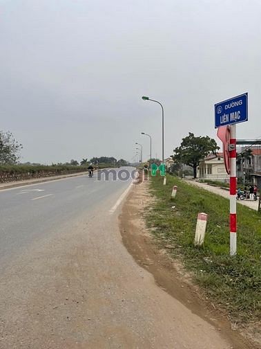 4263058 ảnh đại diện 1