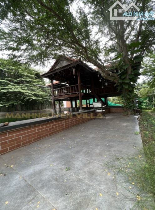 4263214 ảnh đại diện 1