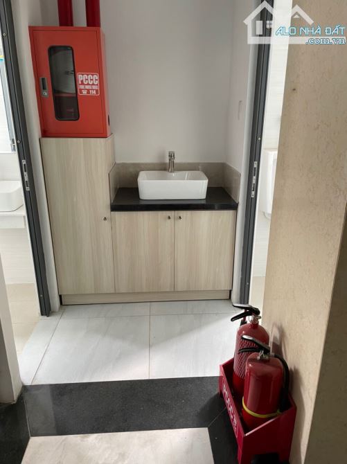 4262832 ảnh đại diện 1
