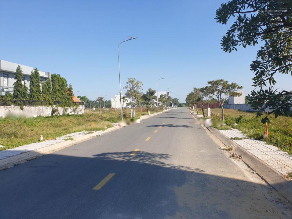 4263852 ảnh đại diện 1
