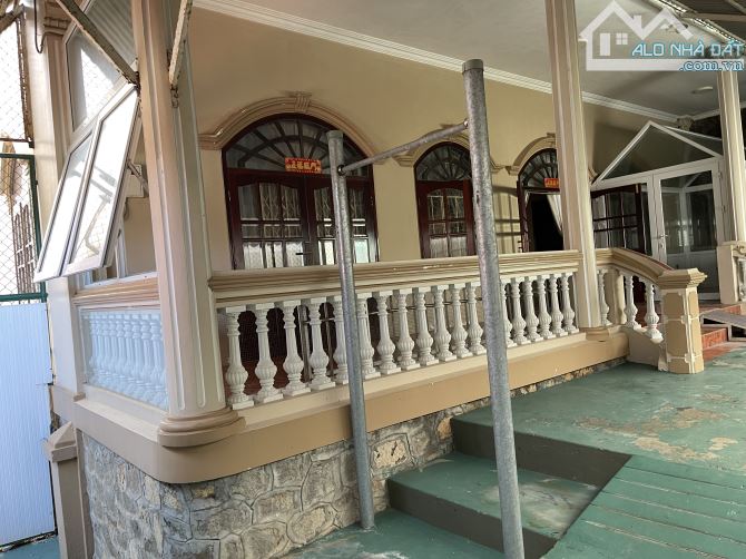 4262804 ảnh đại diện 1