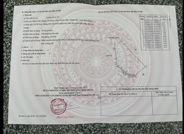 4262686 ảnh đại diện 1