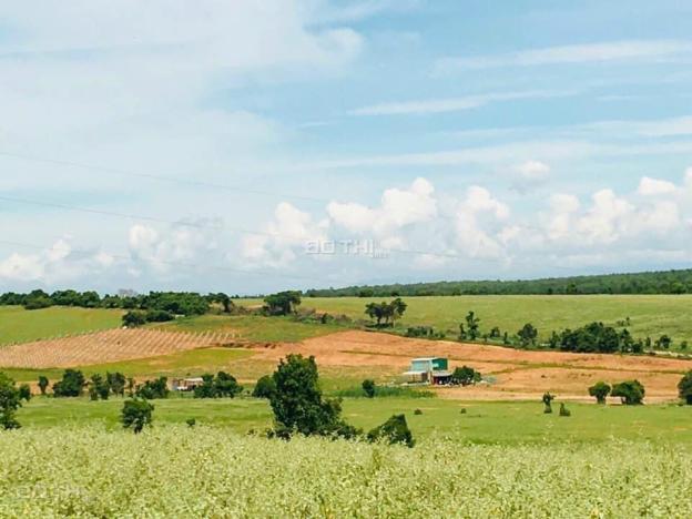 4262690 ảnh đại diện 1