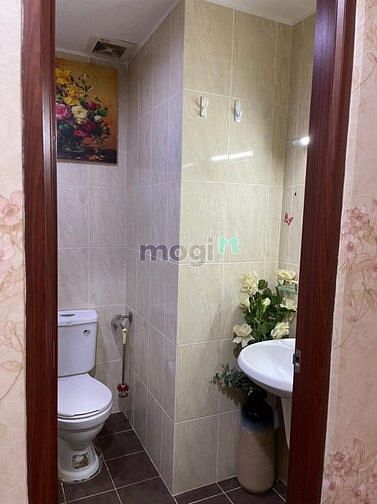 4264141 ảnh đại diện 2