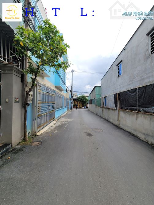4263060 ảnh đại diện 2