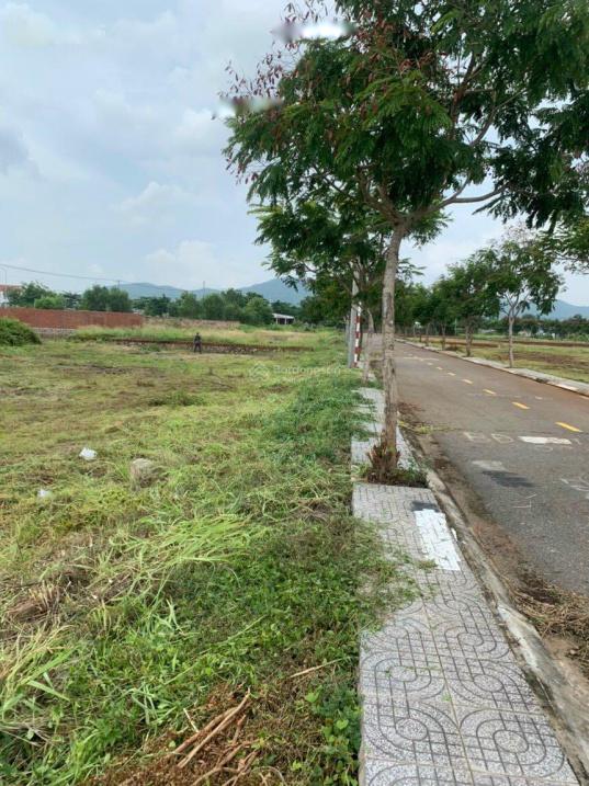 4262595 ảnh đại diện 2