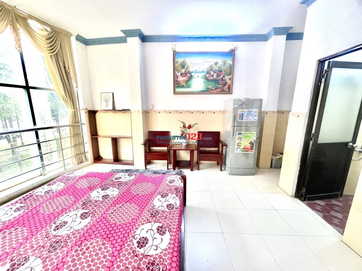 4262911 ảnh đại diện 2