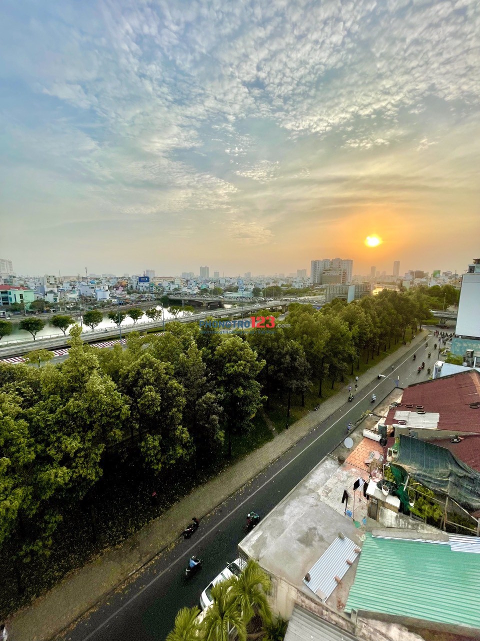 4262911 ảnh đại diện 1