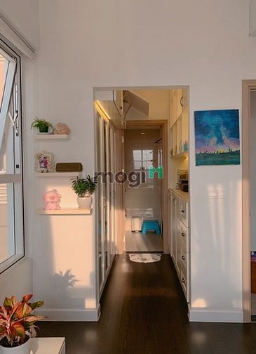 4264133 ảnh đại diện 2