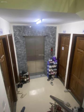 4263795 ảnh đại diện 1