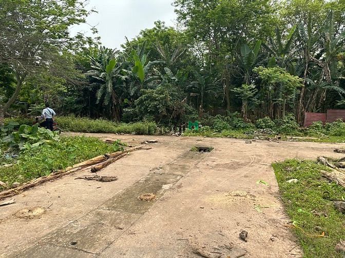4262361 ảnh đại diện 1