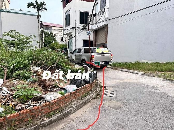 4262356 ảnh đại diện 1