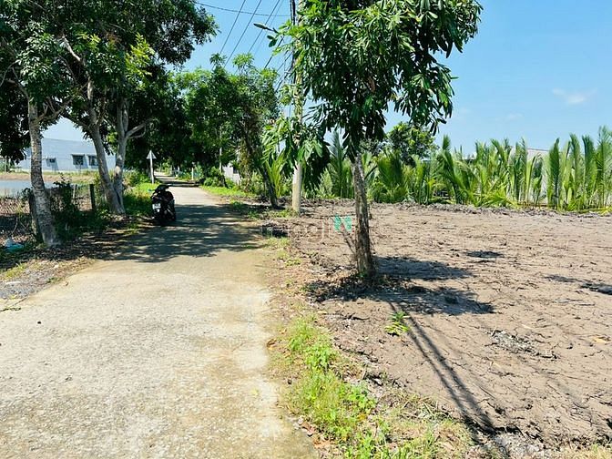 4263127 ảnh đại diện 2