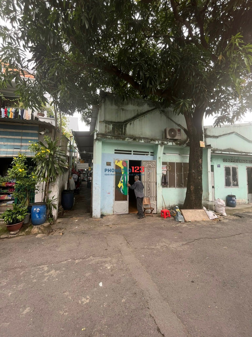 4262369 ảnh đại diện 2