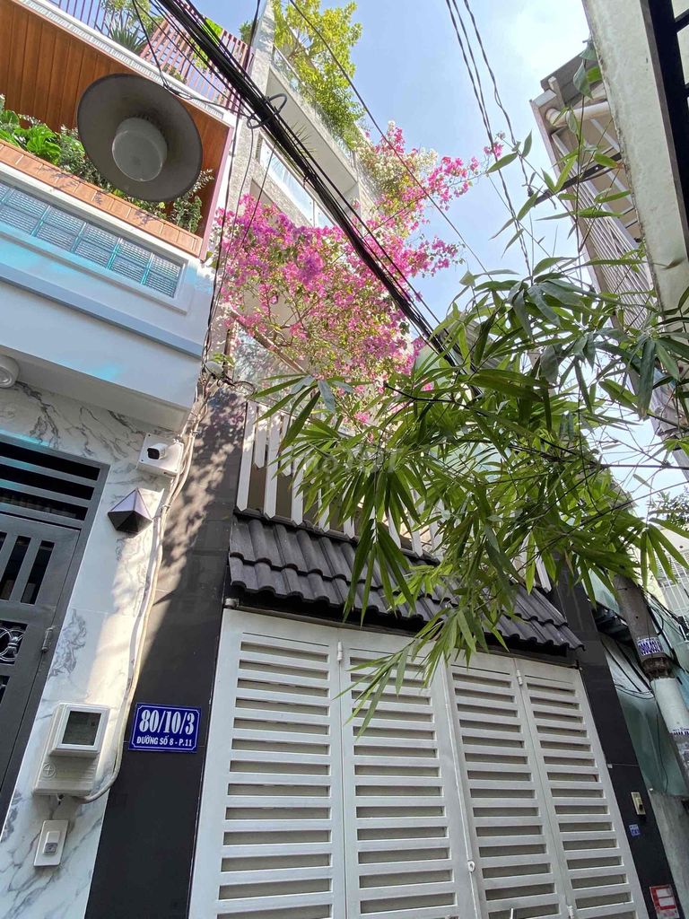 4261975 ảnh đại diện 1
