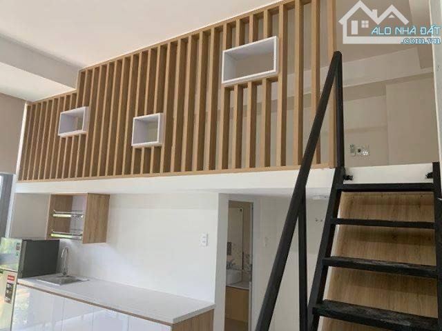 4262910 ảnh đại diện 1