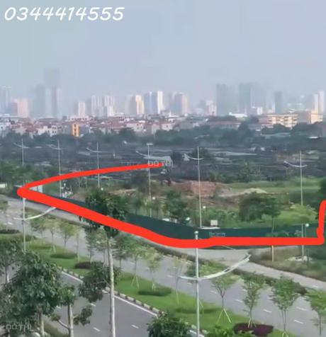 4262909 ảnh đại diện 1