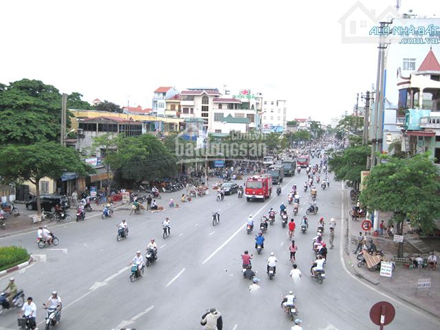 4262499 ảnh đại diện 1