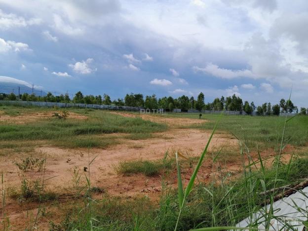 4262682 ảnh đại diện 1