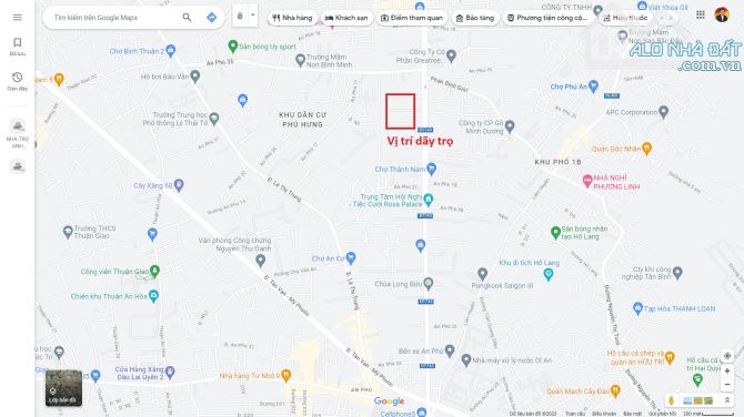 4263075 ảnh đại diện 1