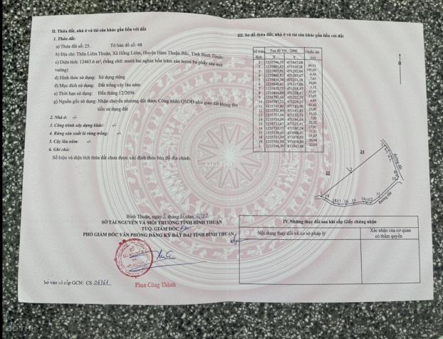 4262684 ảnh đại diện 1