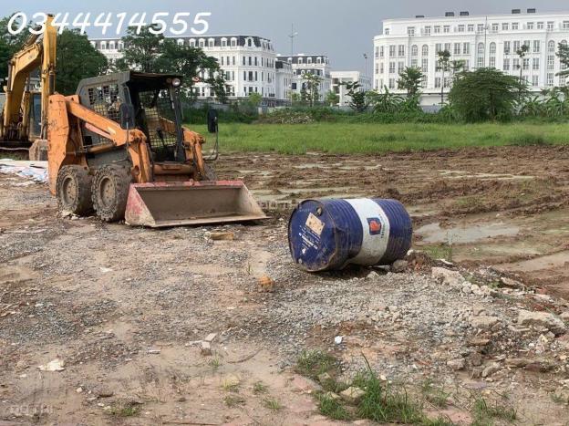 4262909 ảnh đại diện 2