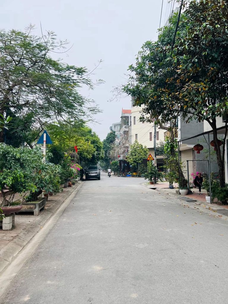 4264207 ảnh đại diện 1