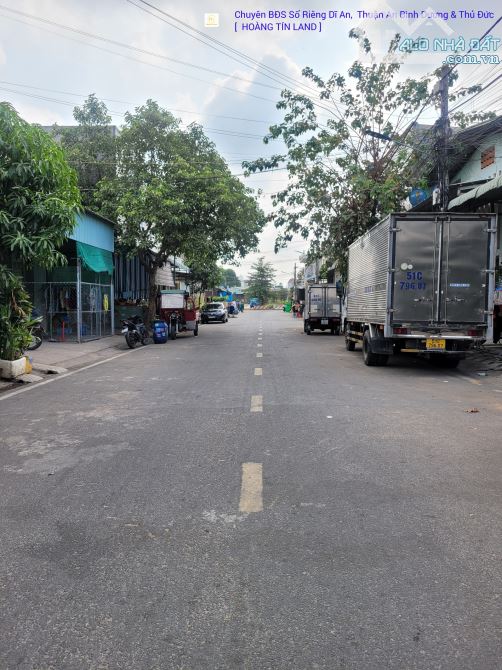 4263062 ảnh đại diện 2