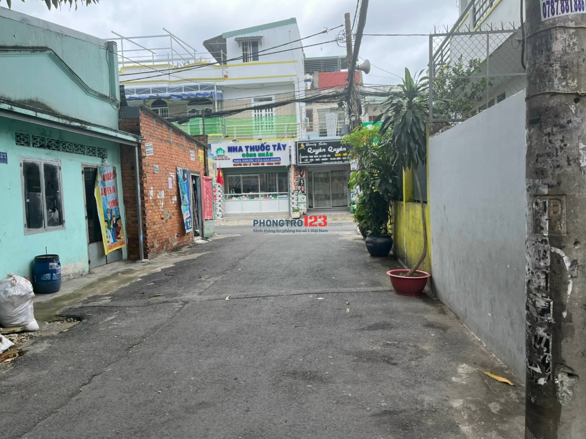 4262369 ảnh đại diện 1