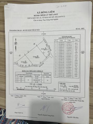 4262684 ảnh đại diện 2