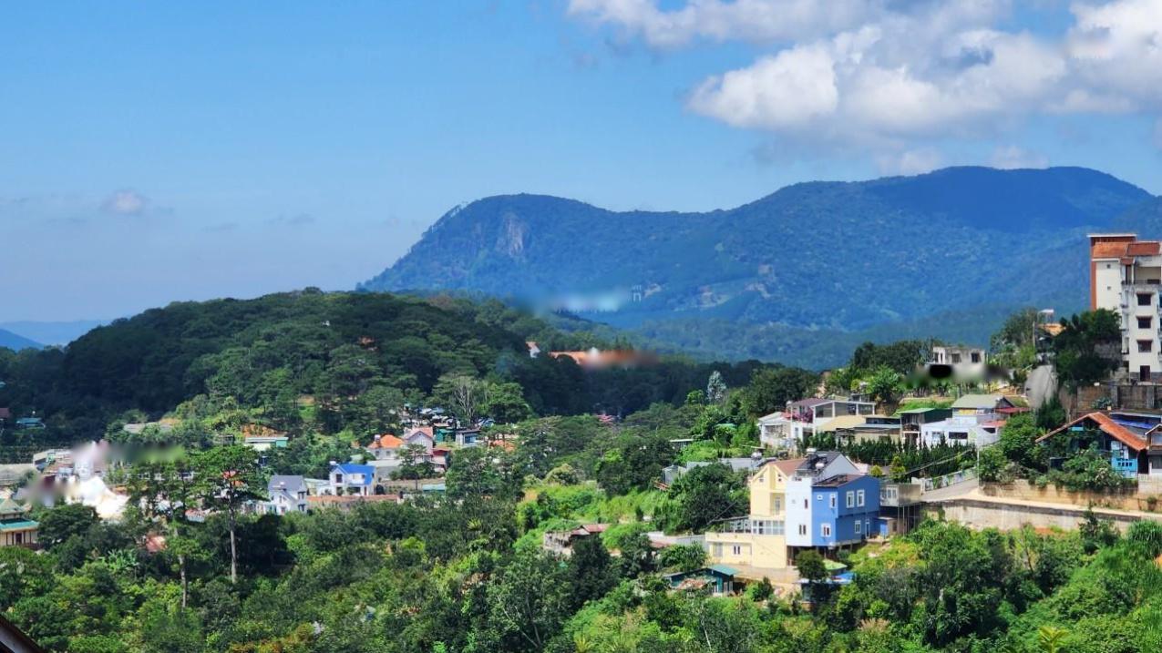 4263457 ảnh đại diện 1