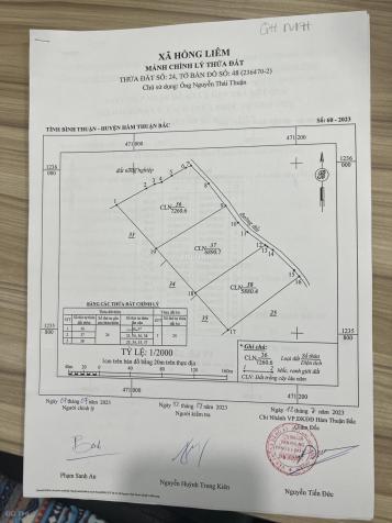 4262683 ảnh đại diện 2