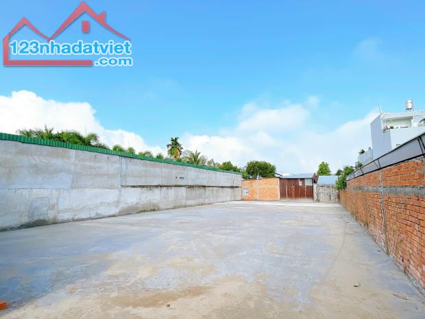 4264667 ảnh đại diện 2