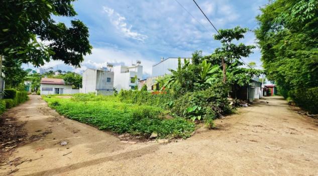 4266182 ảnh đại diện 2