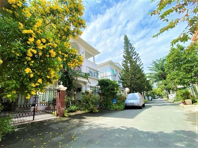 4267190 ảnh đại diện 1
