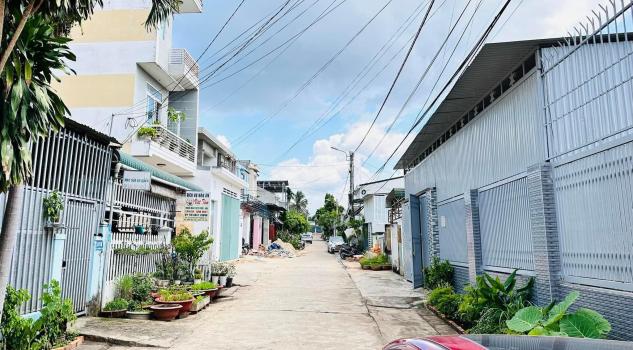 4266201 ảnh đại diện 1