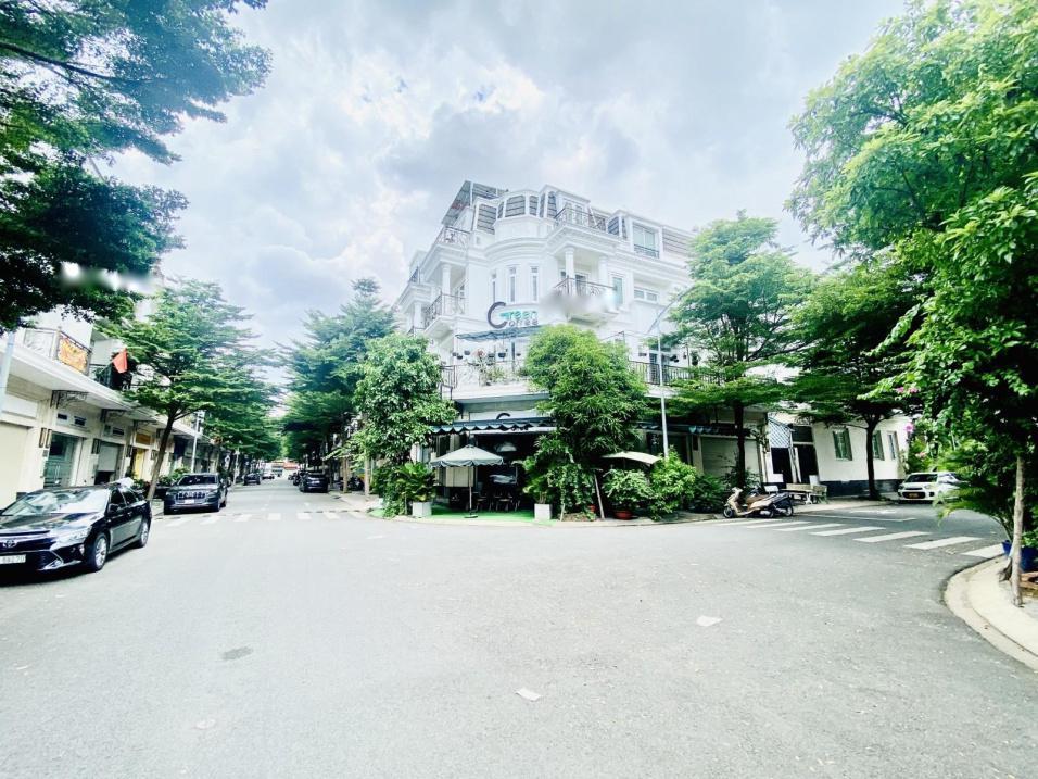 4267052 ảnh đại diện 1