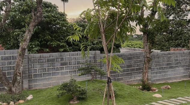 4266188 ảnh đại diện 1