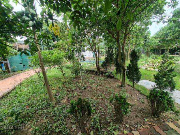 4266737 ảnh đại diện 2