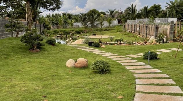 4266188 ảnh đại diện 1