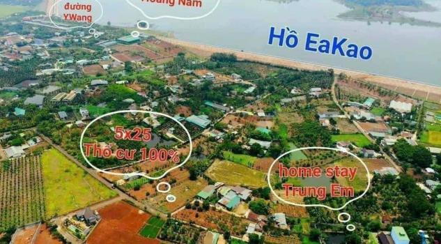 4266190 ảnh đại diện 1