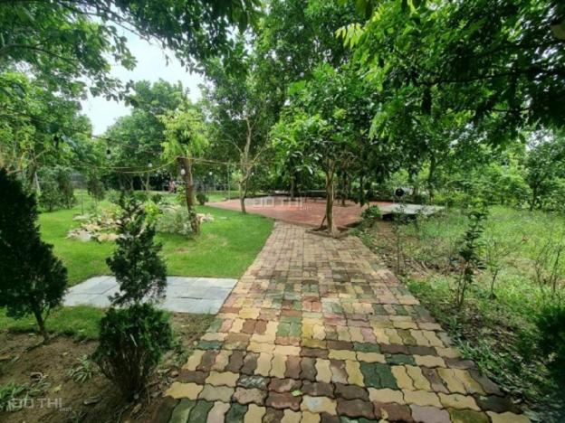 4266737 ảnh đại diện 1