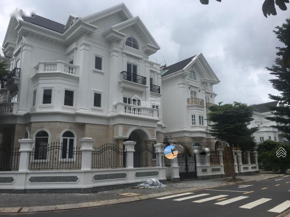 4267056 ảnh đại diện 1