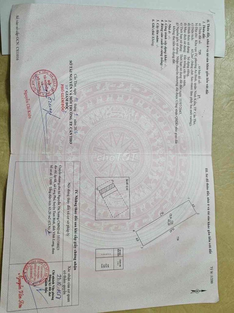 4265576 ảnh đại diện 1
