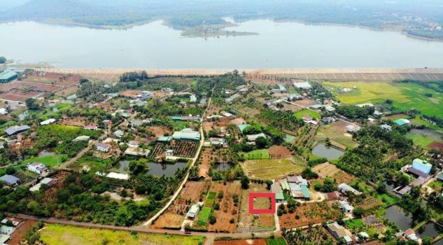 4266190 ảnh đại diện 2