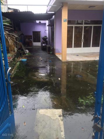 4265792 ảnh đại diện 1