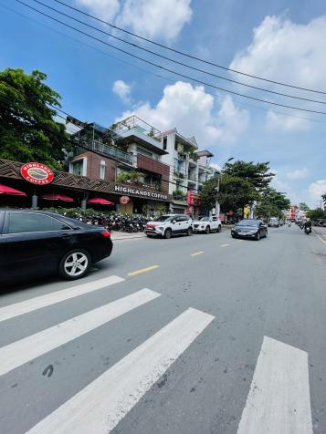 4264387 ảnh đại diện 1