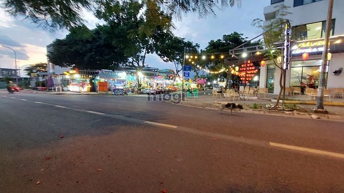 4267283 ảnh đại diện 1