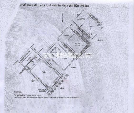 4267237 ảnh đại diện 2